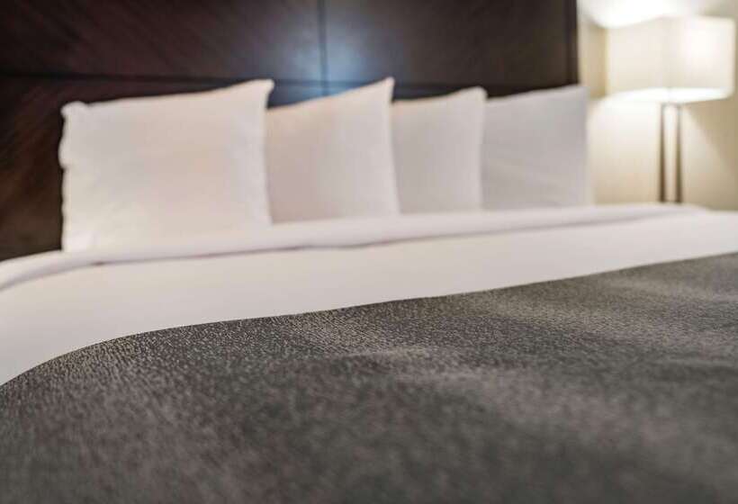 ホテル Chase Suite  El Paso