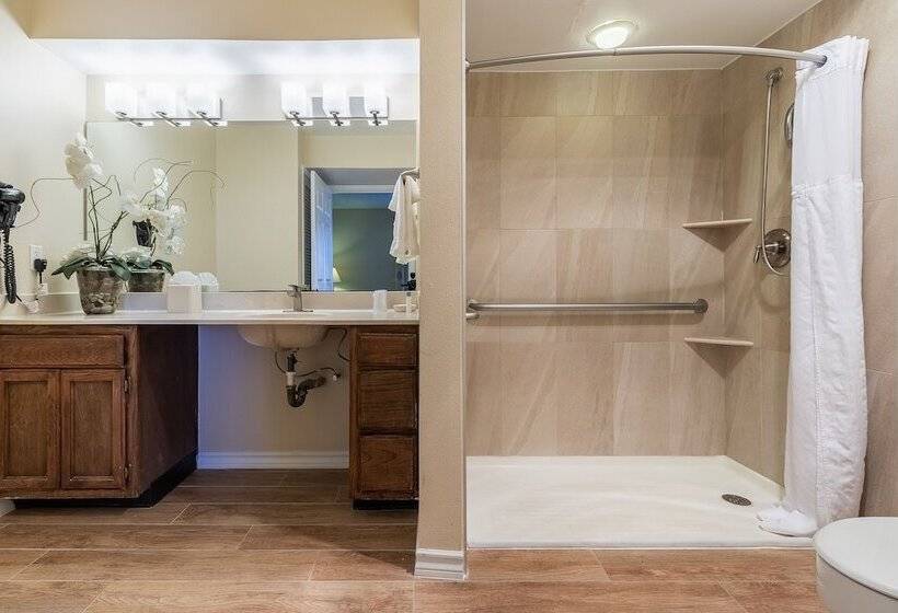 ホテル Chase Suite  El Paso