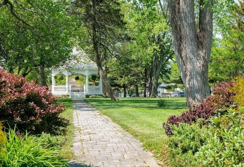 酒店 Chateau Inn And Suites