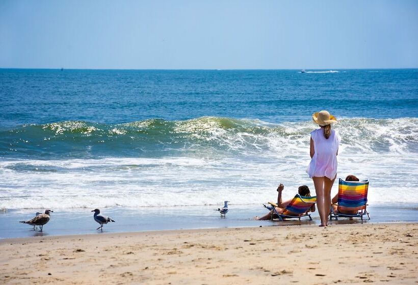 酒店 Chateau Inn And Suites