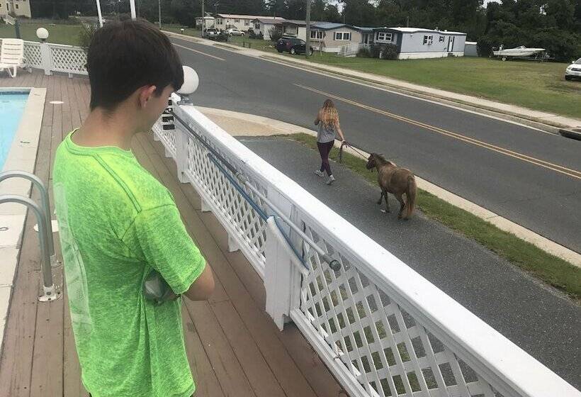 فندق Chincoteague Inn