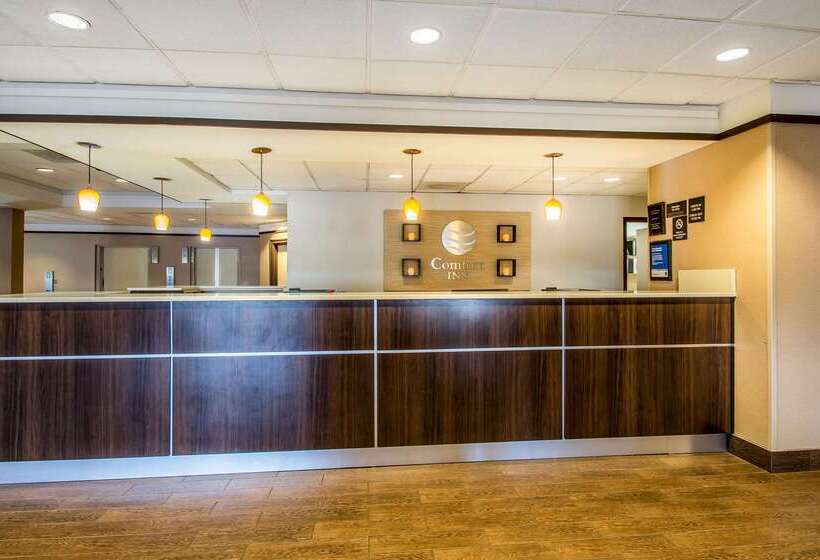 Отель Comfort Inn & Suites Kissimmee By The Parks