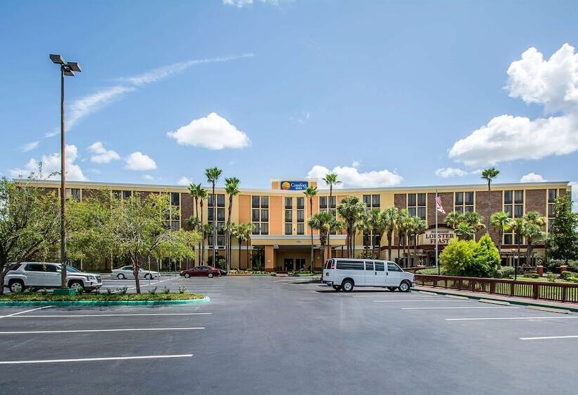 Отель Comfort Inn & Suites Kissimmee By The Parks