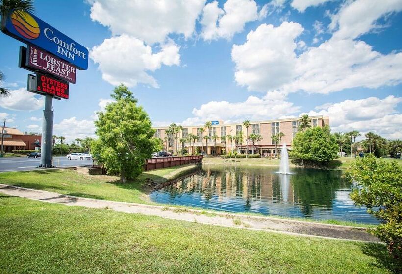 Отель Comfort Inn & Suites Kissimmee By The Parks