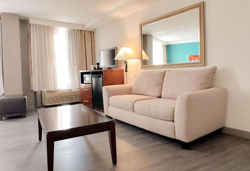 Отель Comfort Inn & Suites Kissimmee By The Parks