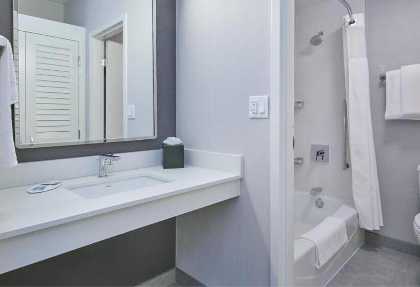 호텔 Courtyard By Marriott Detroit Livonia