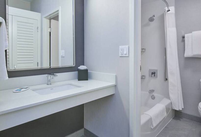 호텔 Courtyard By Marriott Detroit Livonia