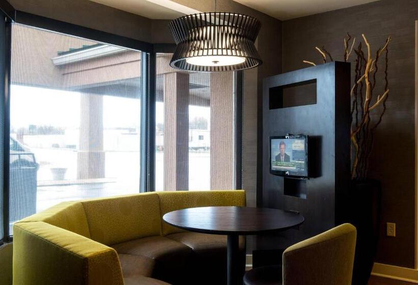 فندق Courtyard By Marriott Nashville At Opryland