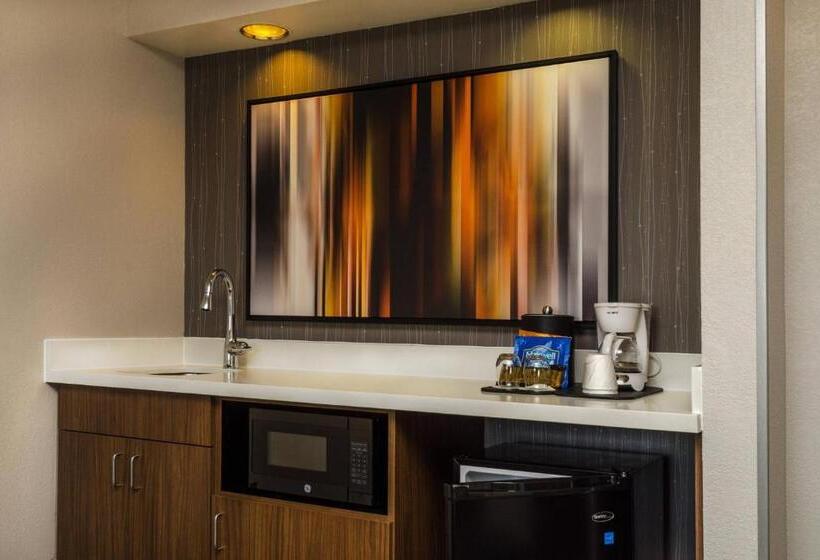 فندق Courtyard By Marriott Nashville At Opryland