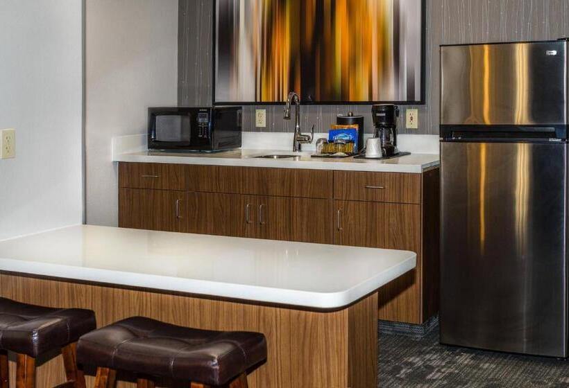 فندق Courtyard By Marriott Nashville At Opryland