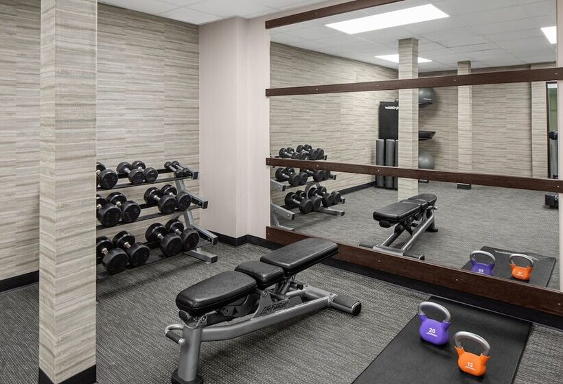 酒店 Courtyard Detroit Brighton