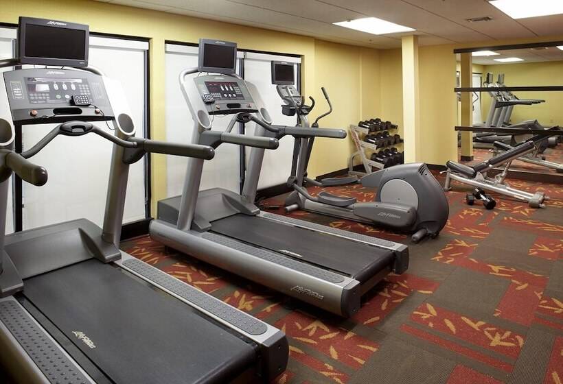 酒店 Courtyard Detroit Brighton