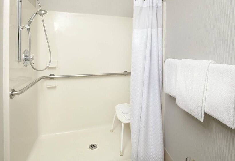 فندق Courtyard Detroit Brighton