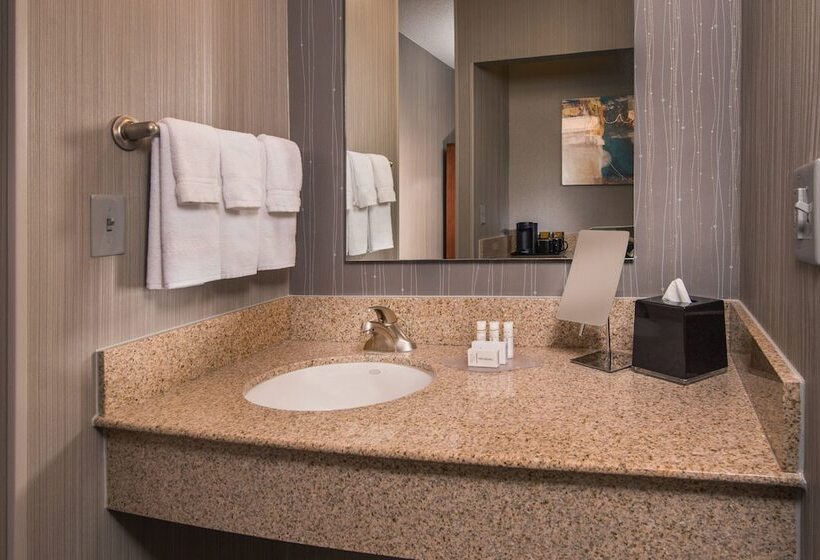 酒店 Courtyard By Marriott Dulles Airport Chantilly