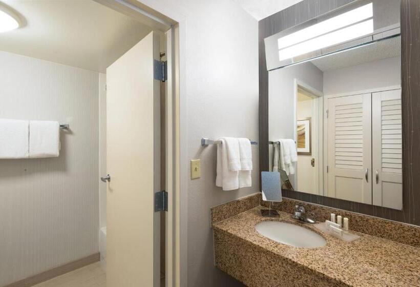هتل Courtyard Harlingen