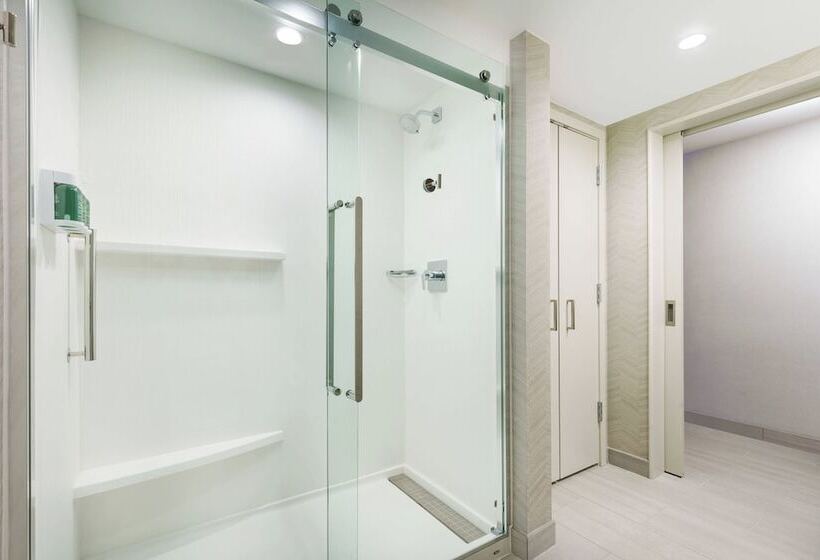 ホテル Courtyard By Marriott Orlando Downtown