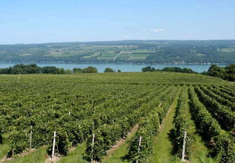 호텔 Courtyard By Marriott Roseville