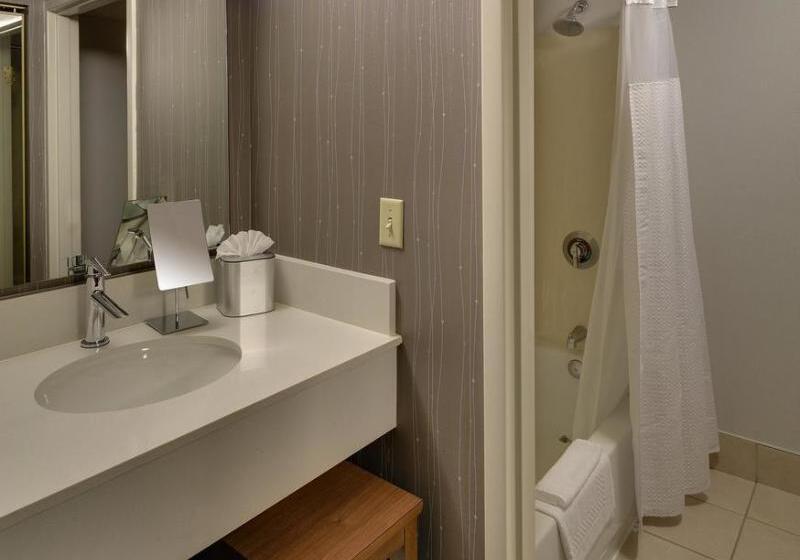 Отель Courtyard St. Louis Airport/earth City