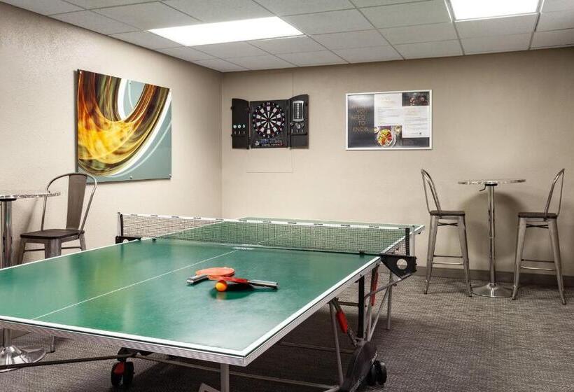 בית מלון כפרי Courtyard St. Petersburg Clearwater