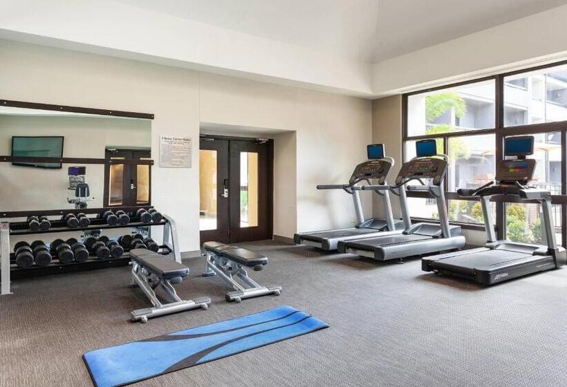 בית מלון כפרי Courtyard St. Petersburg Clearwater