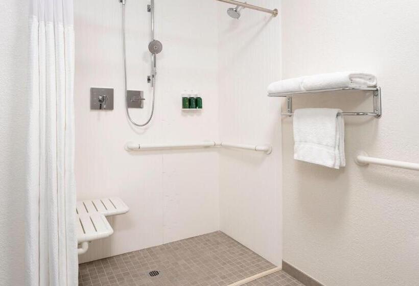 בית מלון כפרי Courtyard St. Petersburg Clearwater