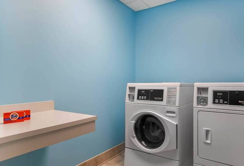 فندق Courtyard Tampa Brandon