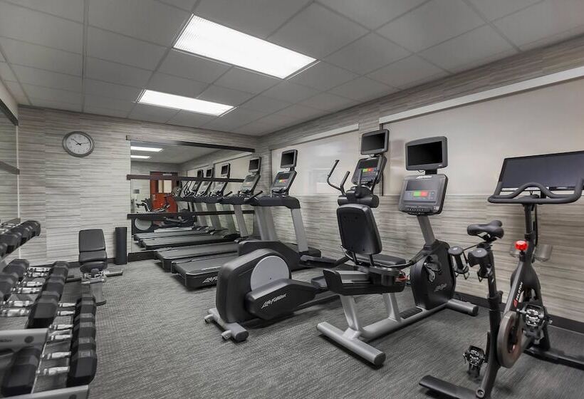 فندق Courtyard Tampa Brandon