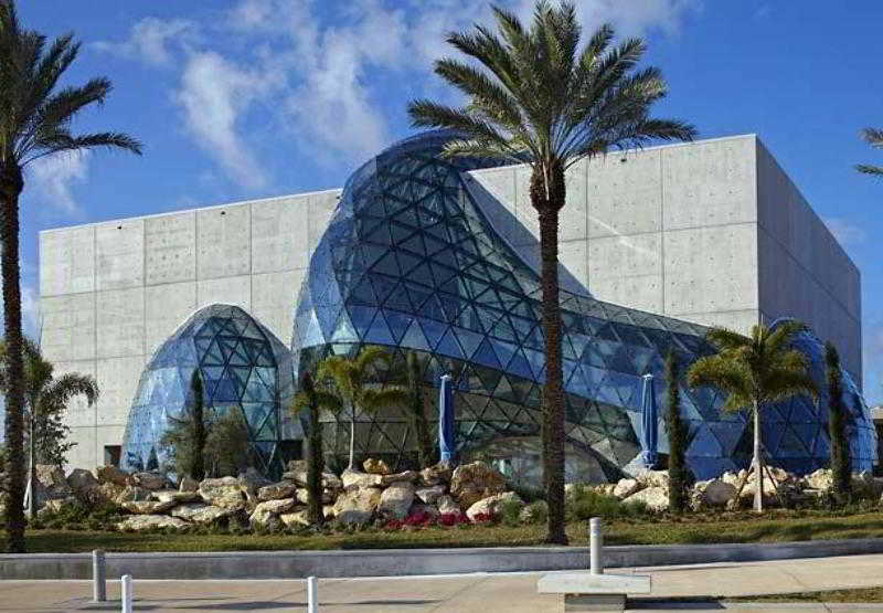 فندق Courtyard Tampa Brandon