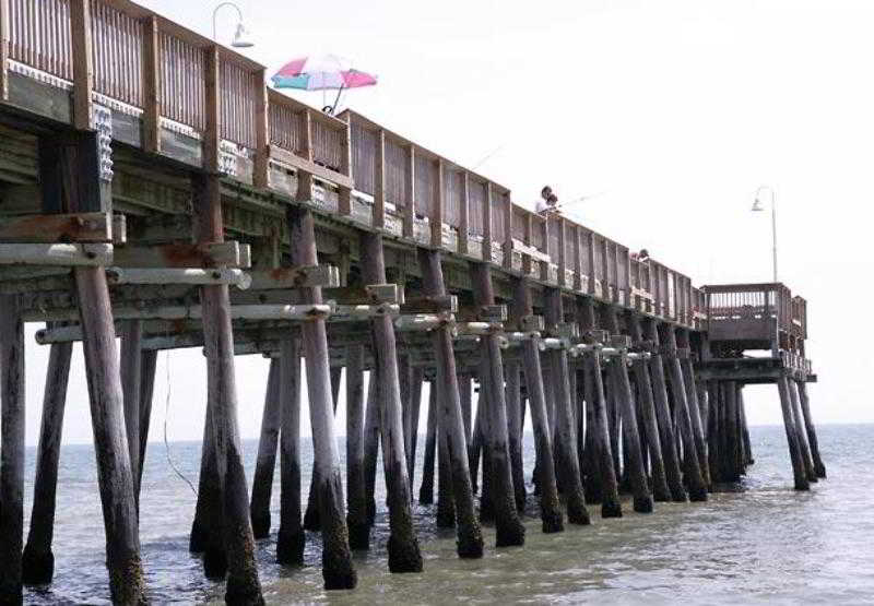 호텔 Courtyard Virginia Beach Oceanfront/south