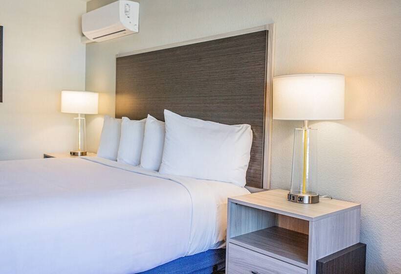 酒店 Creekside Inn Downtown