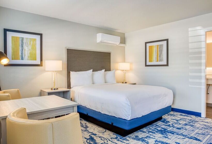 酒店 Creekside Inn Downtown