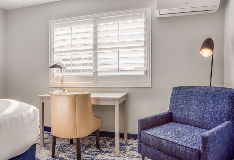 酒店 Creekside Inn Downtown