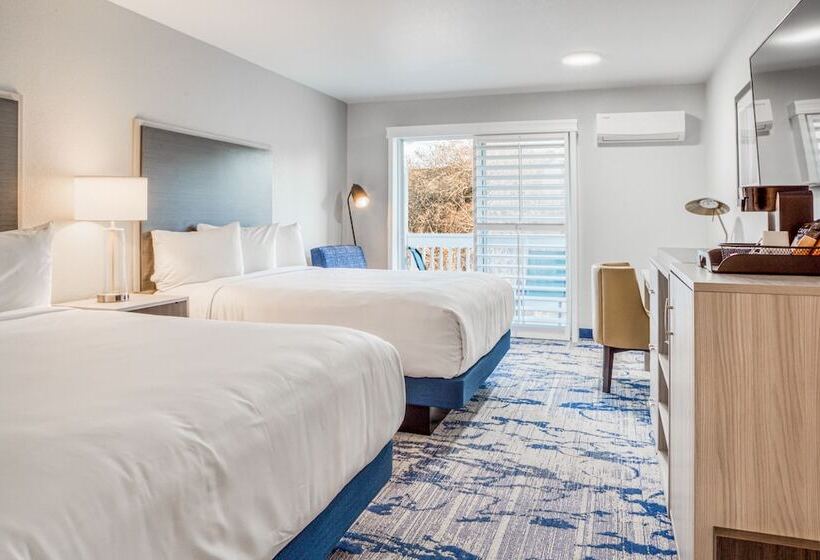 酒店 Creekside Inn Downtown