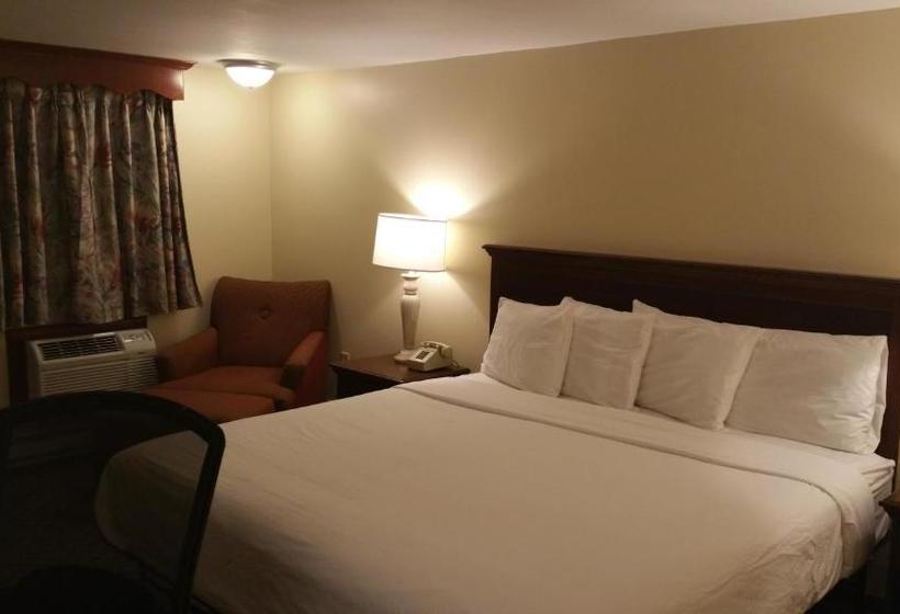 Отель Dartmouth Motor Inn