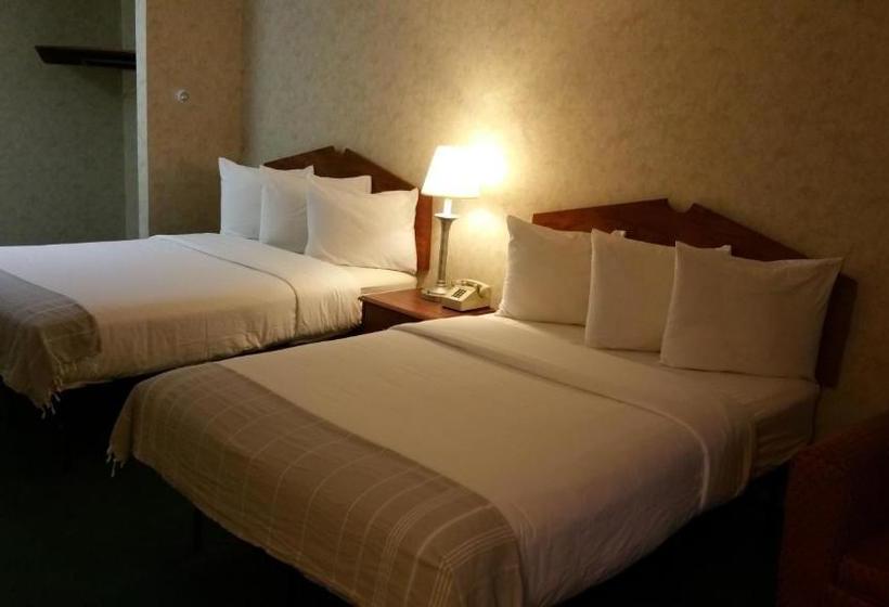 فندق Dartmouth Motor Inn