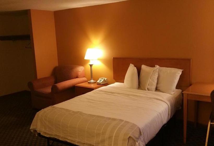 Отель Dartmouth Motor Inn
