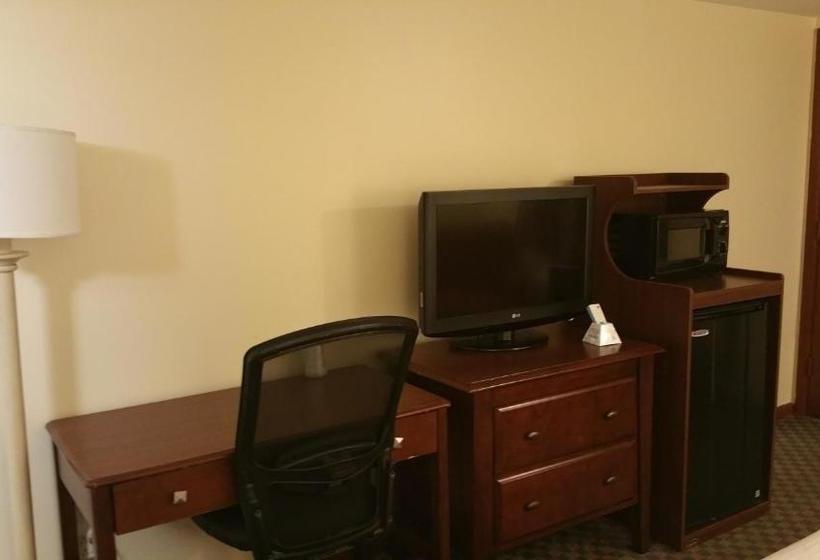 فندق Dartmouth Motor Inn