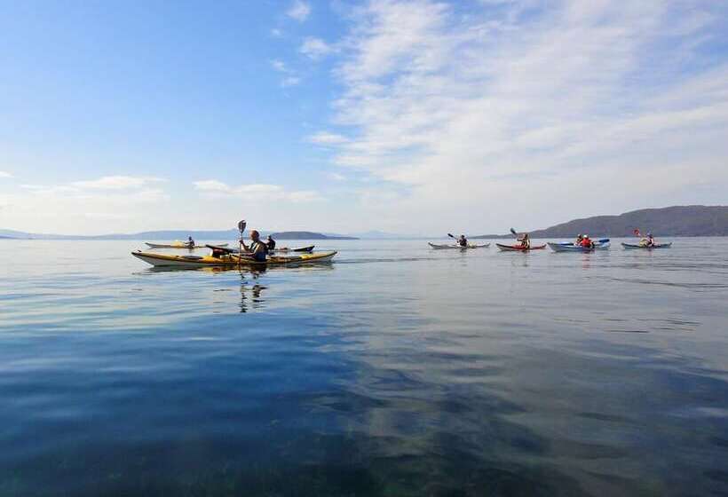 فندق Dartmouth Motor Inn