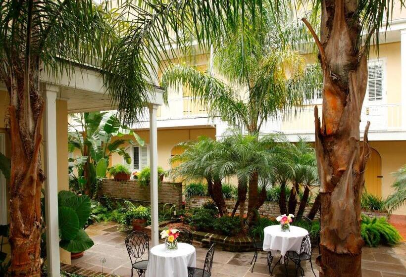 Отель Dauphine Orleans