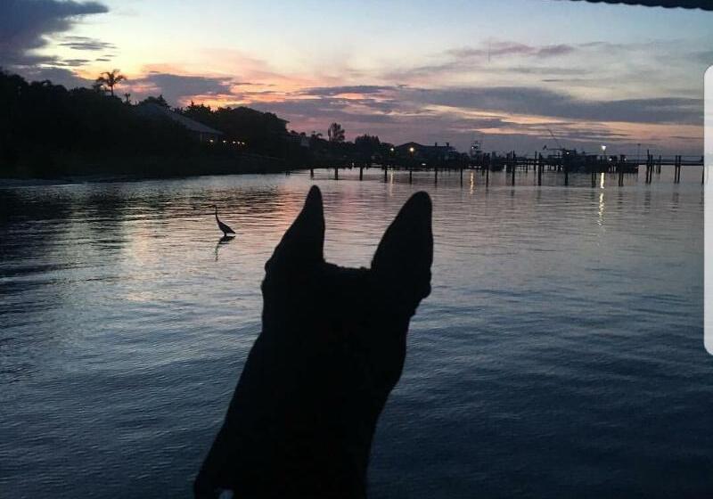 فندق Davis House Inn