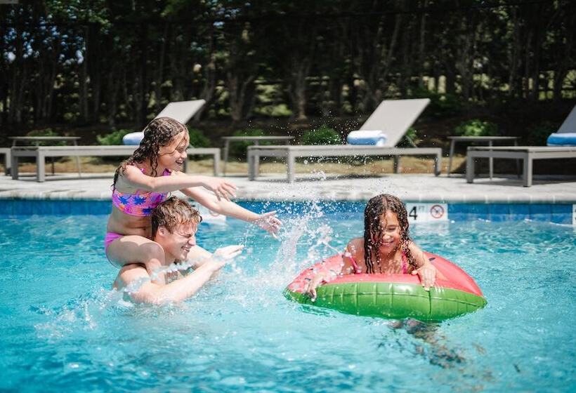 酒店 Greyfinch Chatham Inn