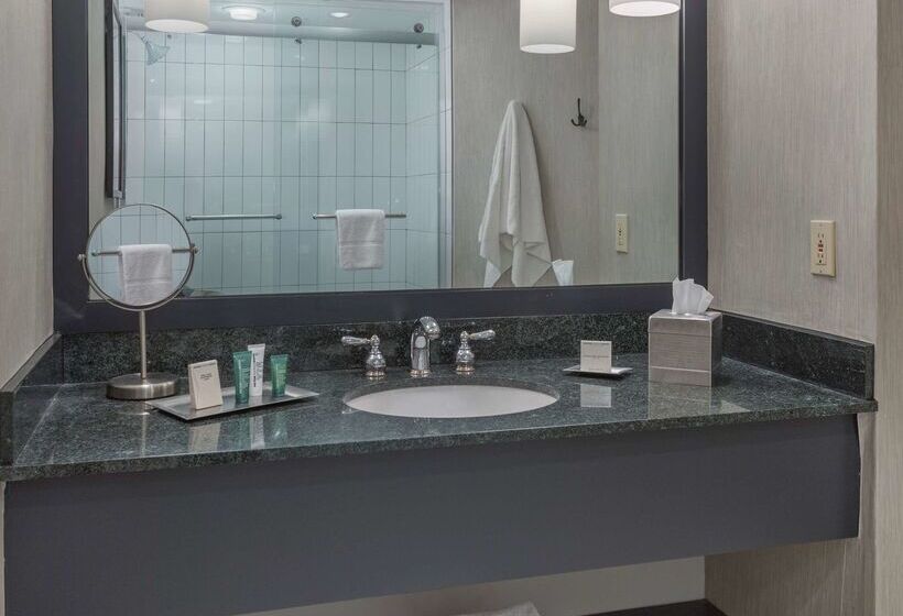 ホテル Hilton Boston/ Woburn