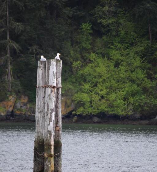 فندق La Conner Channel Lodge