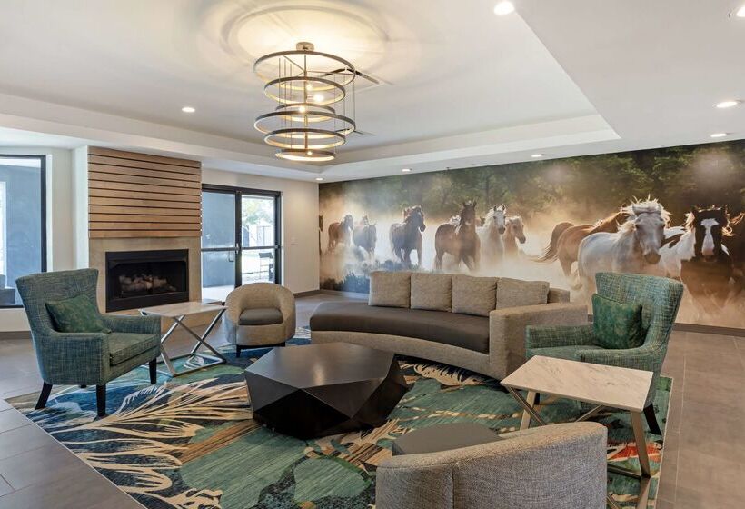 هتل Best Western Plus Fort Worth North