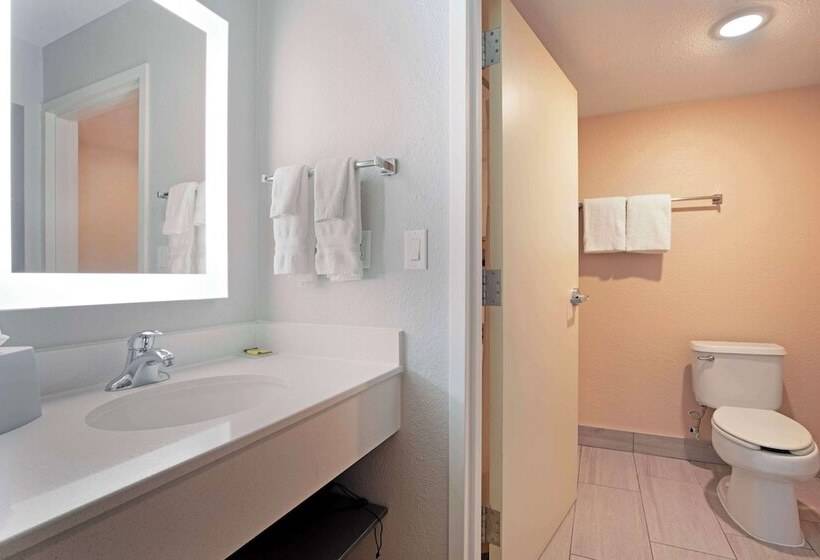 בית מלון כפרי Best Western Plus Fort Worth North