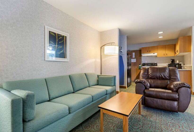 Отель Quality Inn & Suites Denver Airport   Gateway Park