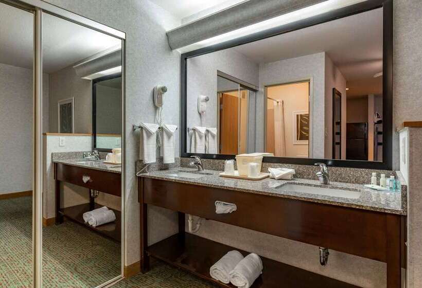 Отель Quality Inn & Suites Denver Airport   Gateway Park