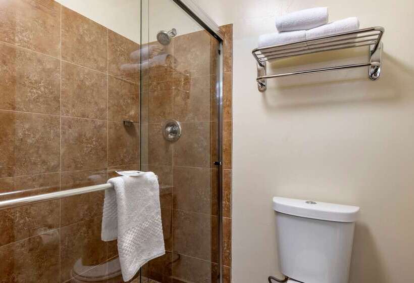 Отель Quality Inn & Suites Denver Airport   Gateway Park