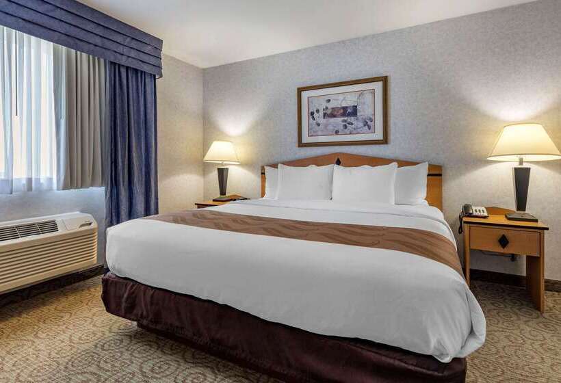 Отель Quality Inn & Suites Denver Airport   Gateway Park