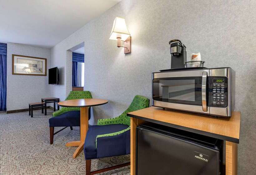 Отель Quality Inn & Suites Denver Airport   Gateway Park